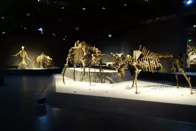 1496662462936069972.jpg 201706054.webp.jpg