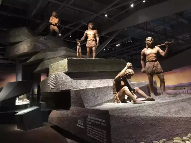 1496662493837034802.jpg 201706055.webp.jpg