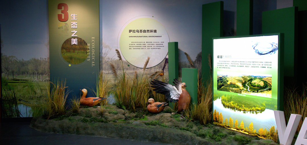 1758251059515030959.png 9971272e8816179e214679ae57008c72.png